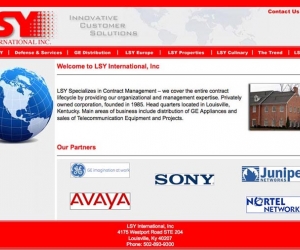 LSY International